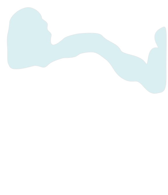 Large intestine Highlight