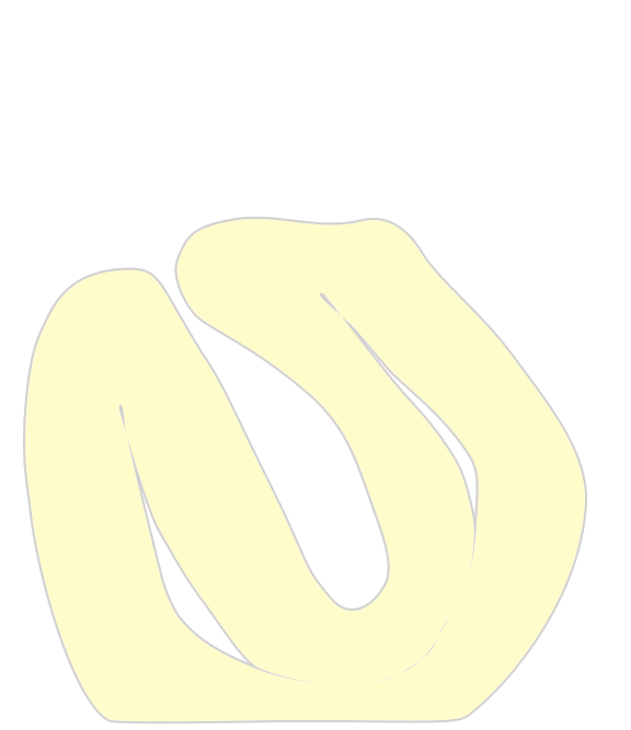 Small intestine Highlight