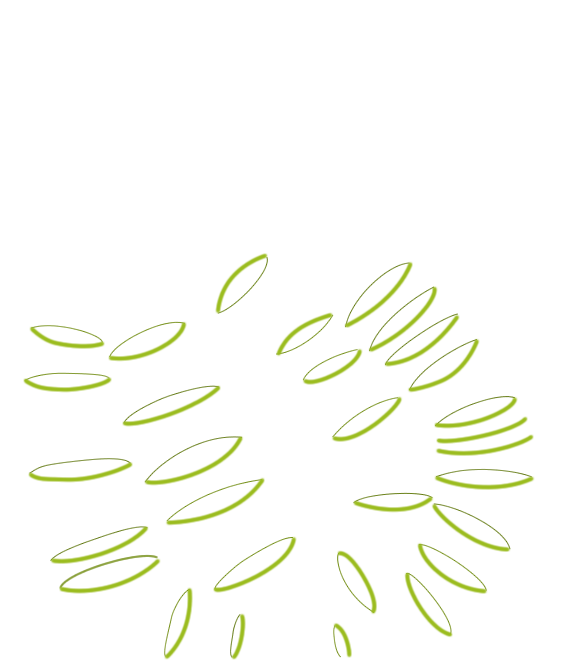 Valvulae conniventes Highlight